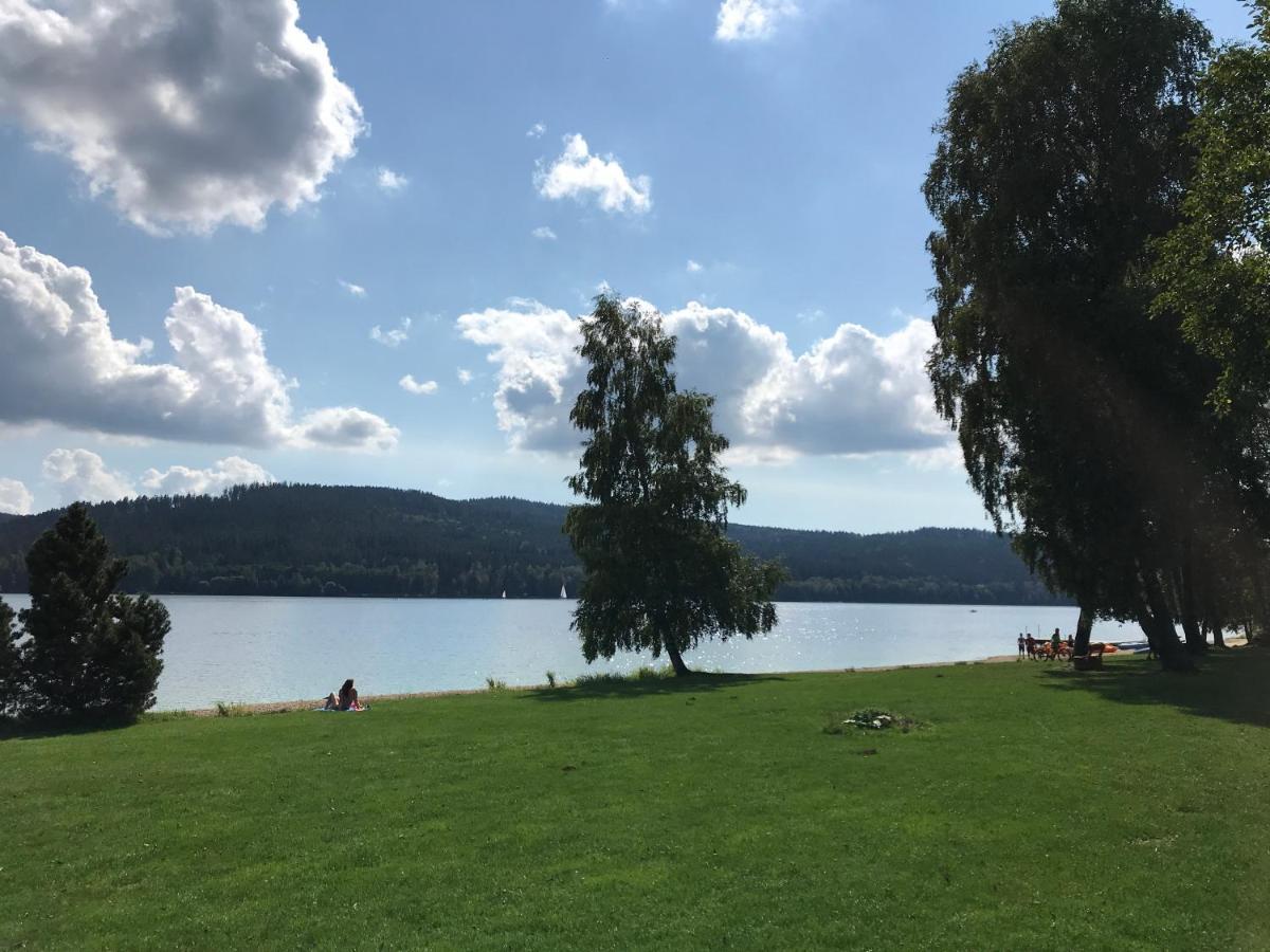 Luxury Apartman Lipno Lipno nad Vltavou Buitenkant foto