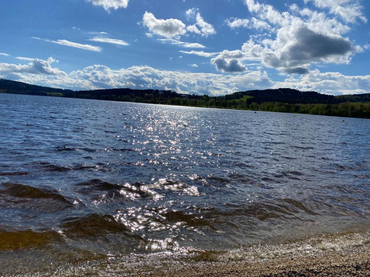 Luxury Apartman Lipno Lipno nad Vltavou Buitenkant foto