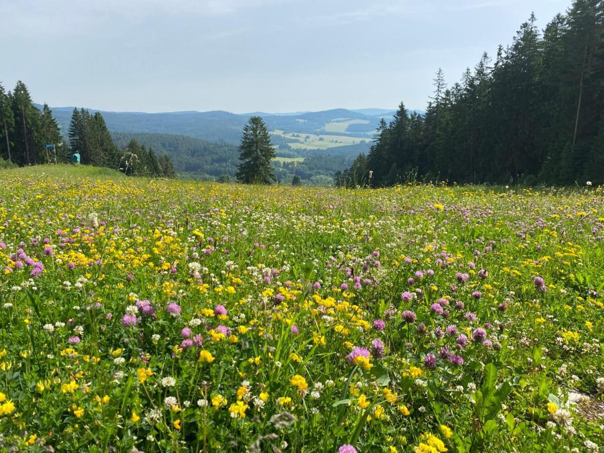 Luxury Apartman Lipno Lipno nad Vltavou Buitenkant foto